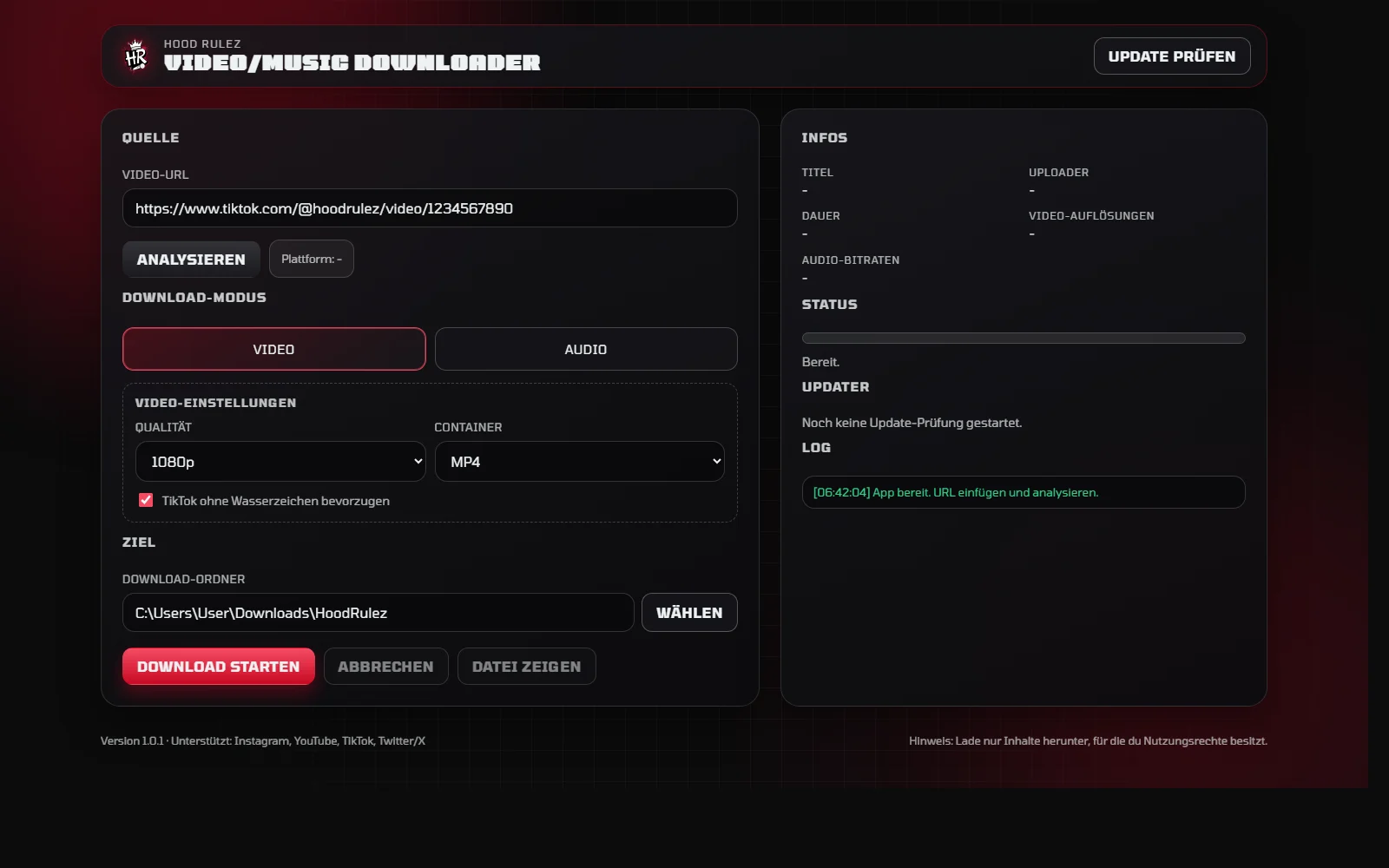Social Media Downloader Oberfläche - Standardansicht