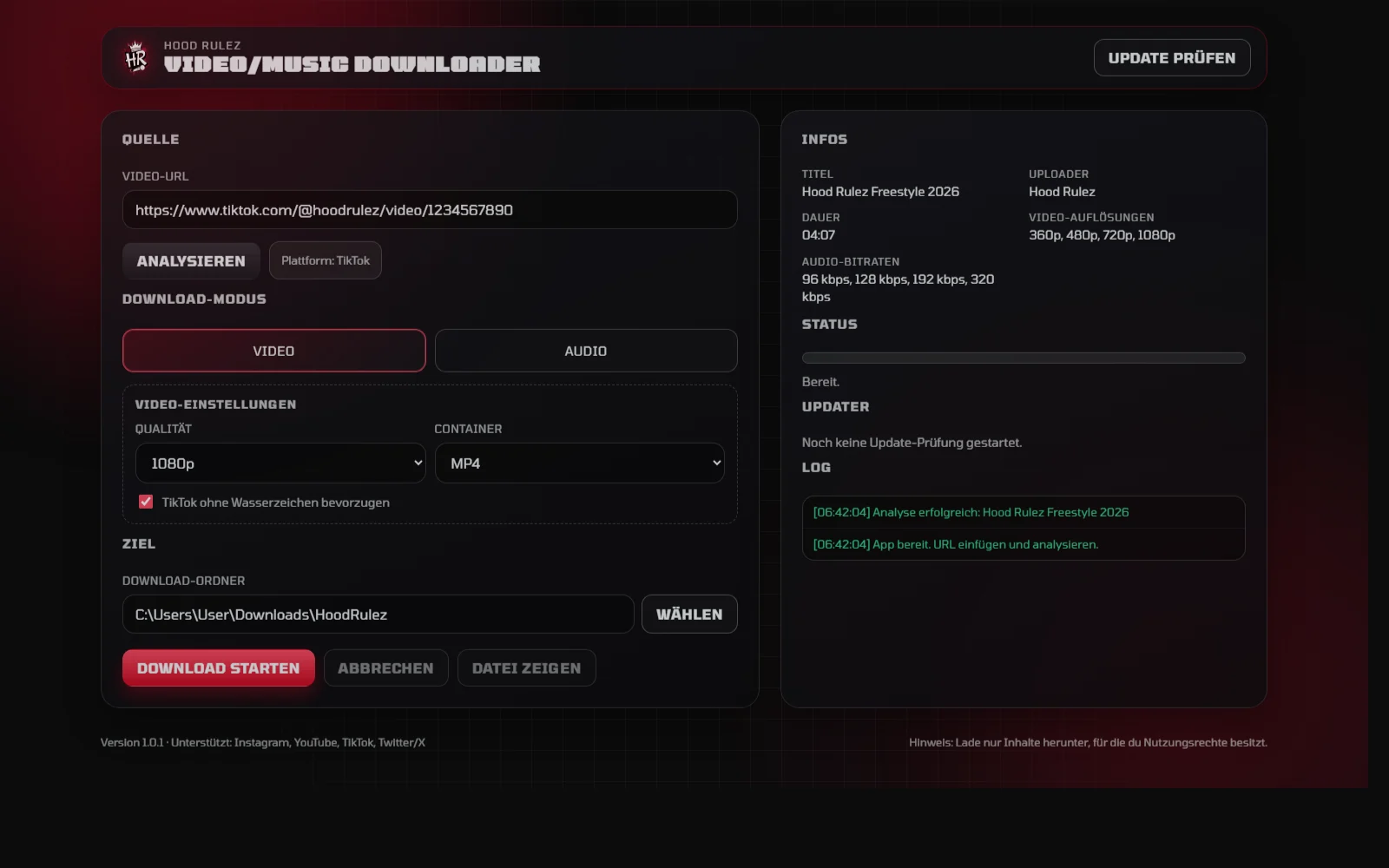 Social Media Downloader Oberfläche - Analyseansicht