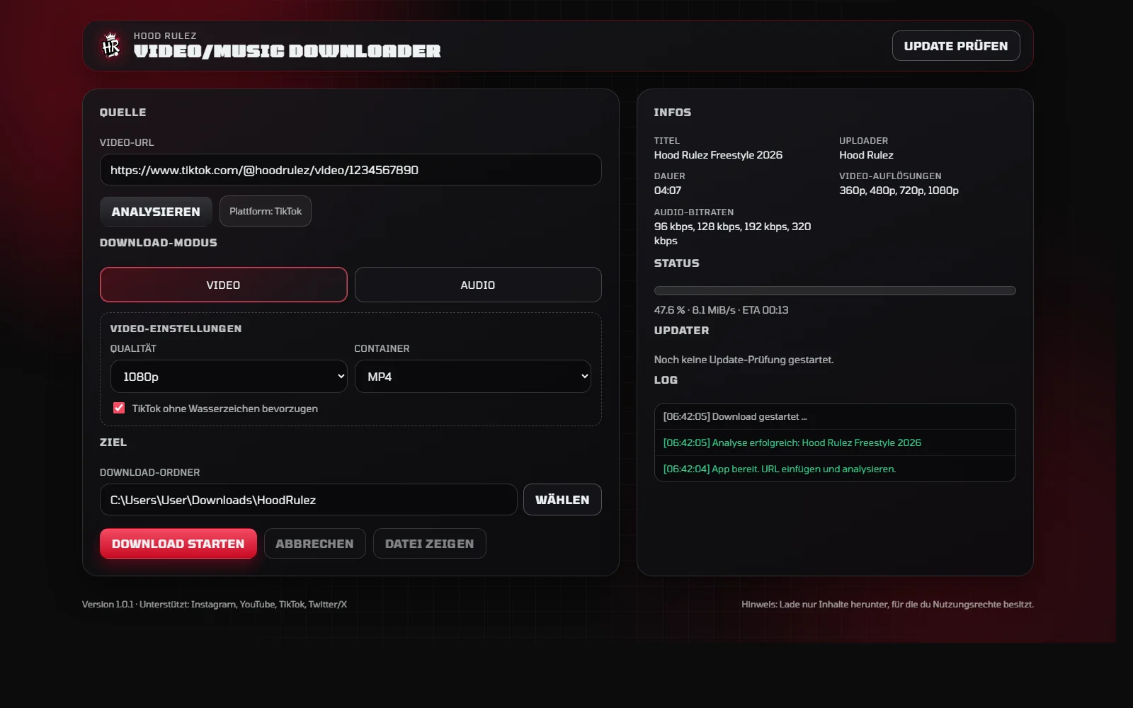 Social Media Downloader Oberfläche - Fortschritt und Log
